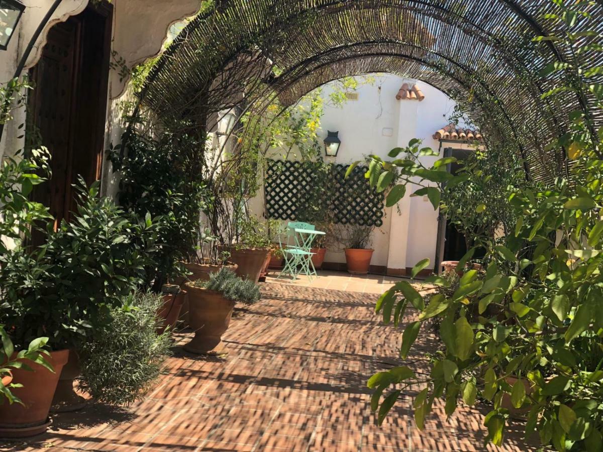 Cordoba Cool Vailima Apartment Ngoại thất bức ảnh