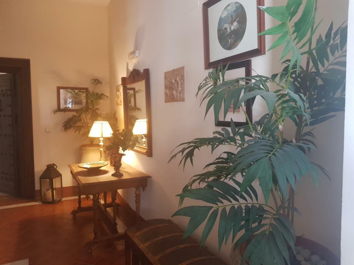 Cordoba Cool Vailima Apartment Ngoại thất bức ảnh